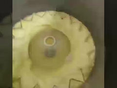 Machines à rouleaux d'œufs commerciaux