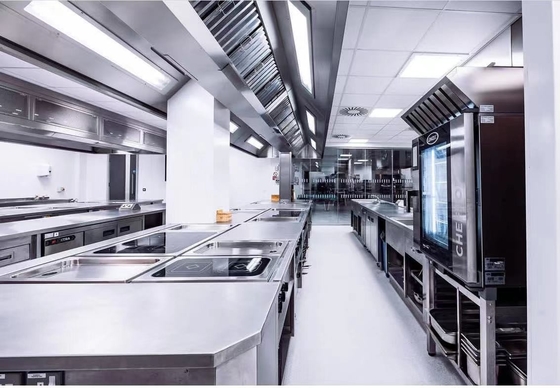 Équipement de cuisson à gaz de restaurant en acier inoxydable GL-RS-4G 192 kg Poids 3,95/5,66Kg/h Consommation