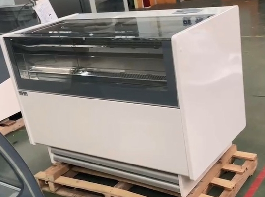 Appareils de réfrigération industriels N.W 255KG 220-240V/1PH/50HZ