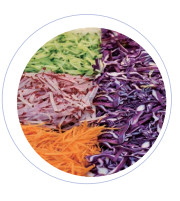 Équipement de transformation de fruits et légumes en acier inoxydable 380V Voltage nominal