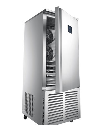 Réfrigérateur commercial vertical mobile ODM OEM, refroidisseur de boissons sans givre avec roues et caisson lumineux supérieur à LED, R290, verre chauffant en option